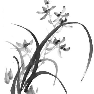 TrongTien95626's profile picture. 