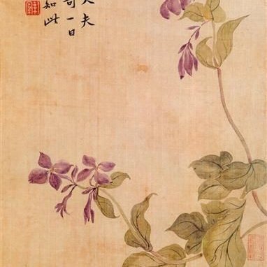 KhoaTin431812's profile picture. 