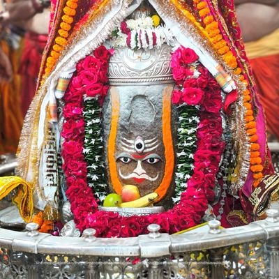 invisible0071's profile picture. I am here only for myself