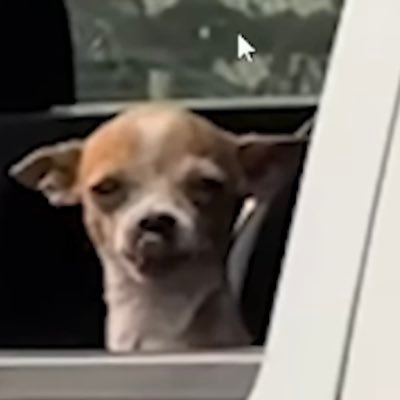 chiroluchok_BBX's profile picture. 名前は違いますがWadeのX垢ですBeatbox歴3年趣味はデスクとか丨Instagram https://t.co/asMuCSO2AI