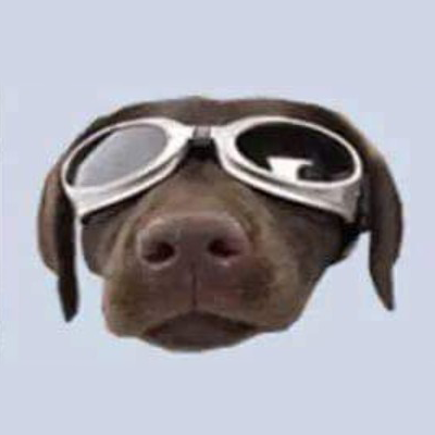 thiagobizinoto's profile picture. 🌔