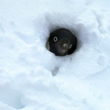 sunghae_is's profile picture. 얼레벌레 살아가는 이 세계에 프론트엔드 개발자