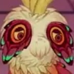 traguluskanchil's profile picture. do not expect anything good from me