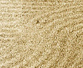 FieldsyncAuto's profile picture. 