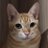 LoveMmax's profile image