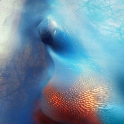 hamupyi33136's profile picture. 