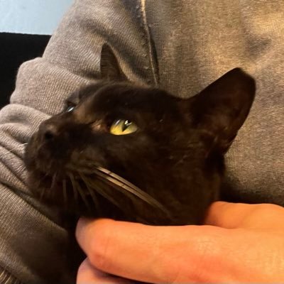 fraserjapan's profile picture. 人生を楽しみましょう。プロレスを楽しみましょう。 ♨️を楽しみましょう。