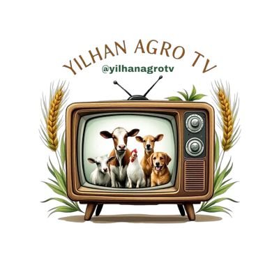 yilhanagrotv's profile picture. -Promoting Animal Health and Production -Animal welfare and Cruelty- Advertising Agro Productions -we create time for Funny things. Translated into Hausa and F