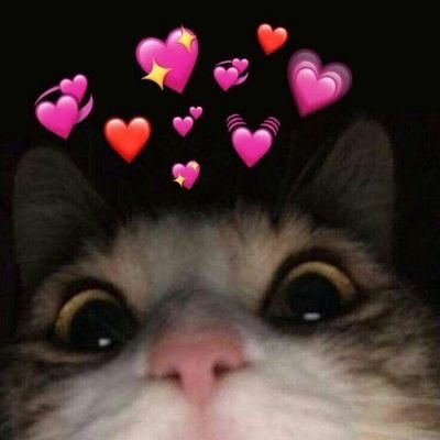 krrish_codes's profile picture. Hi, I’m Krrish. A student, an editor, and beginner coder. Documenting the insights I discover as i learn, and the reflections that comes along the way.