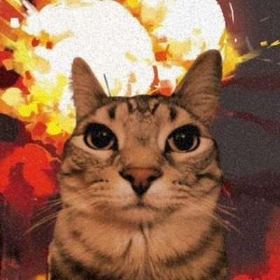 iluvcosmos's profile picture. Live your best!