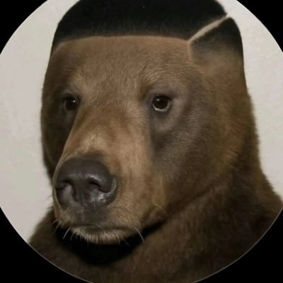 hitlerdemonlord's profile picture. Indian 🇮🇳•Somali 🇸🇴•Jewish✡️• Ariana’s #1 fan•aroace butch lesbian•autism haver•trans(mtf)🏳️‍🌈🏳️‍⚧️ bmi :89