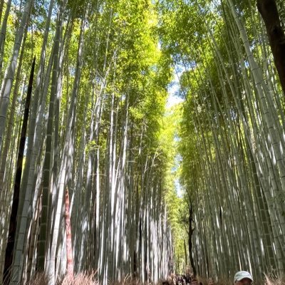 hi4fYvQsQV3236's profile picture. 大学生です。