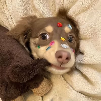 11inmarch's profile picture. 🍡𓍲 🐈‍⬛🧁✳︎