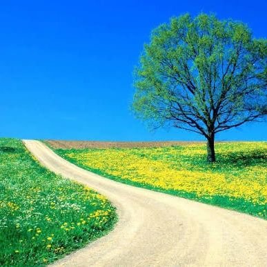 saku_dgl's profile picture. அரசியல் ஒரு சாக்கடை  னு தந்தை பெரியார் சொன்னார்  அந்த சாக்கடை எனக்கு வேண்டவே வேண்டாம்