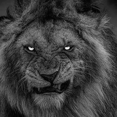 Watsondahiya9's profile picture. cool guy