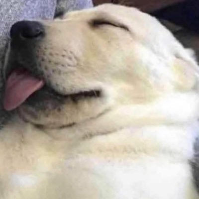 fxnttx's profile picture. 