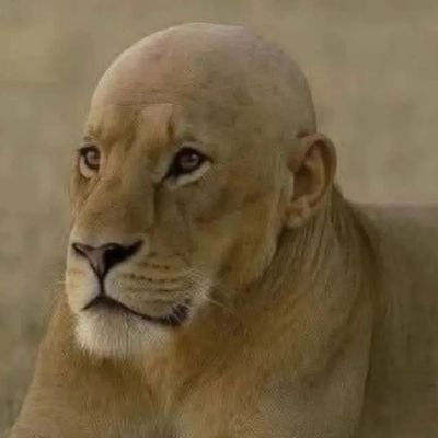 clutchNdcluster's profile picture. 26 || stressed