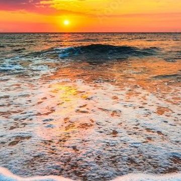 company_ag60050's profile picture. Talent Acquisition Consultant 💗