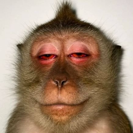 Dogojanja_'s profile picture. thinker.....