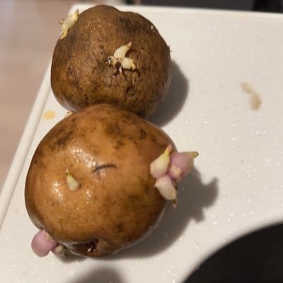 sms9vc's profile picture. 久々にちょっとやってみる フロントエンド/バックエンド/アプリ/AI/のエンジニアです 気付いたら10年やってます 大阪と東京でIT会社経営中