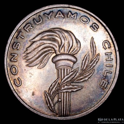 _NaturalDeChile's profile picture. 