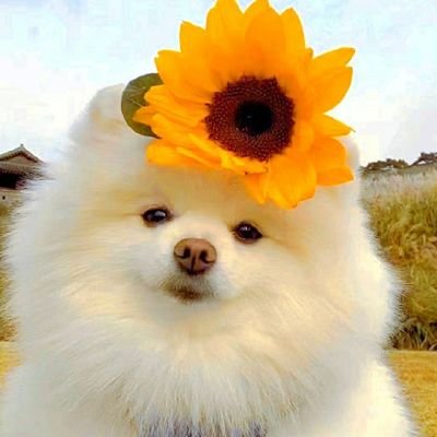 yyxn1250681's profile picture. 贵在有你，溪引天下，我在贵溪等你！欢迎互fo互赞～