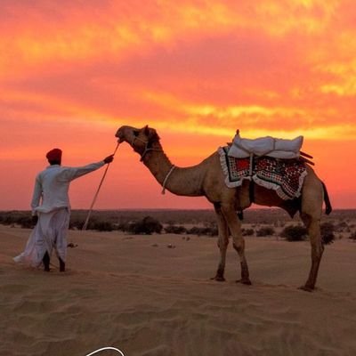 TheGhasal's profile picture. https://t.co/e5qcoSrYlV