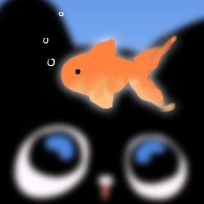 FFAN06221's profile picture. FFAN🩵❤️BP