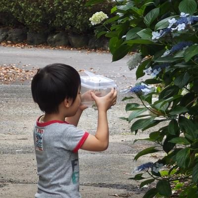 CODMUSAPIYO's profile picture. 普段使用雑垢
気軽にうささんとお呼びください👍️
ジョブ=トラックドライバー
趣味=ゲーム、SNS（Twitter）、動画（YouTube）
アズレン、スターセイヴァー、カオゼロ