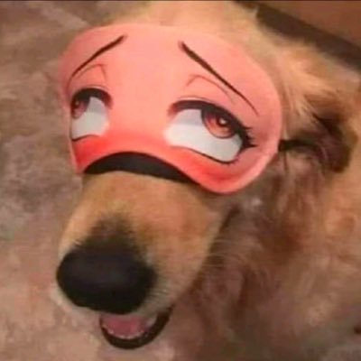 m4QidPxZIh75785's profile picture. 