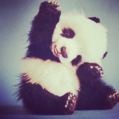 suisedated's profile picture. ೀ ⁺ 𓈒 ◌ sw 155 cw 119 lw 100 ˚ ༘ 🥮⋆｡˚