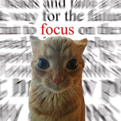 CCM731196099854's profile picture. 