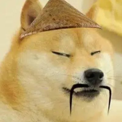 chinesedoge_sol's profile picture. Chinese doge (中国总督) is the traditional dog that is now allowed to eat. 
ARp2JRXpqNHUQyKSSSTYfsSdeuhdzABmeJbVMmiApump