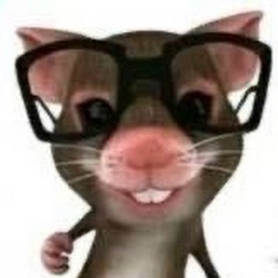 xiaodream551's profile picture. 