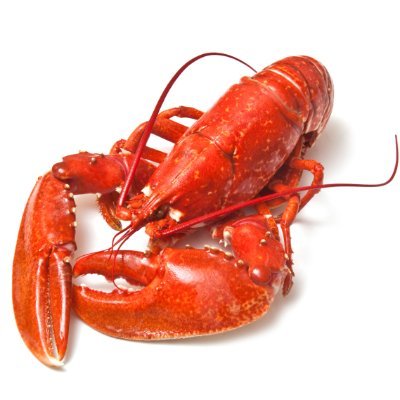 TheRodFromGod21's profile picture. ocean dweller