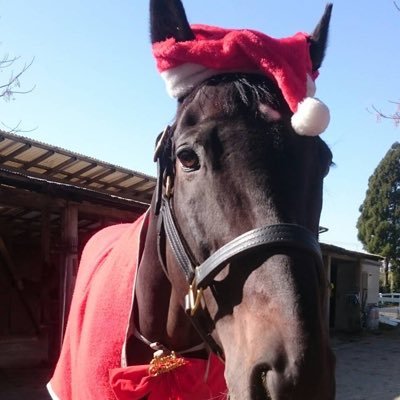 baryumejuya's profile picture. 