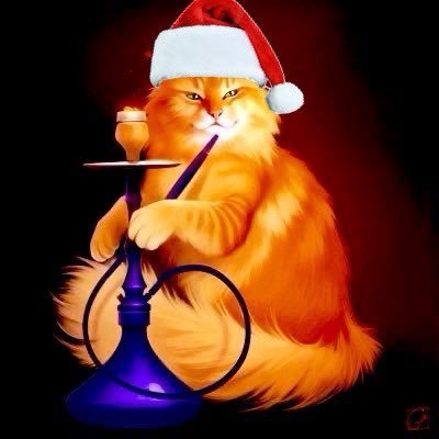 RayPeatHeadShop's profile picture. Would you rather go unwilling?