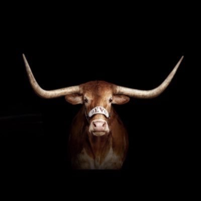 williamlies247's profile picture. TEXAS - 68 National Championships 663 Conf. Titles 63’-69’-70’-05’ 🏈 49’-50’ -75’-83’-02’-05’⚾️ 81’-88’-12’-22’-23’🏐 Director’s Cup Champions 21’ 22’ 24’ 25’