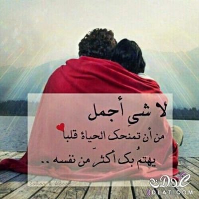 alsaqr_69's profile picture. لو كان الحب كلمات تكتب لانتهت أقلامي، لكن الحب أرواح توهب فهل تكفيك روحي