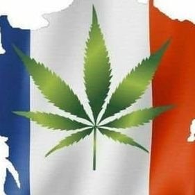 magique_be10919's profile picture. Toujours disponible 💯🇫🇷 tu veux?
je fais venir jusqu'à chez toi 
s.n.a.p moi 👻: max_deliv