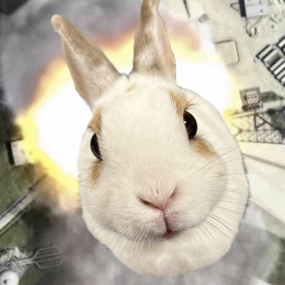 ALittleBnuing's profile picture. 