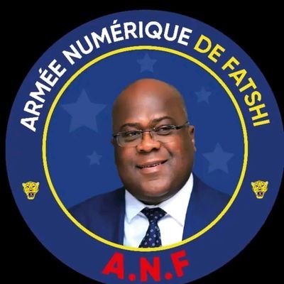 OKikwika74386's profile picture. gestionnaire entrepreneurs informaticien homme politique vice président  de la ligue de jeunes du parti MTV mouvement des tshisekedistes pour la victoire ✊