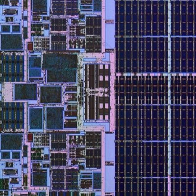 ankaba_x01's profile picture. user01100001