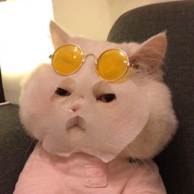 MyMOON_08's profile picture. ⊹ 𝗁𝖺𝗏𝖾 𝖺 𝗇𝗂𝖼𝖾 𝖽𝖺𝗒. ˗ˏˋ ꒰ MEEN8 PK9 ꒱ ˎˊ˗ ꒰ P FAM JD FAM PST FAM ꒱ ꒰  ChoAs PTT ꒱  ⋆.𐙚 ̊ ⋆｡‧˚ʚ 𝐍’𝐃𝐑𝐄𝐀𝐌 ɞ˚‧｡