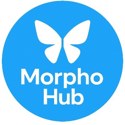 Morphotothemoon's profile picture. 🚀 Taking Web3 further with @Morpho.
🔍 Focused on innovation, efficient lending, and on-chain finance.
💡 Building the future of decentralized markets.
