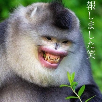 fuwasetatsuru's profile picture. 俺様は世田谷区役所近くの公立中学で働くイケメンエリート中学生集団、略して世田谷05だ覚えとけ