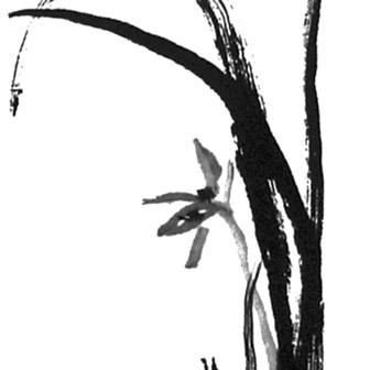 GoneyL62566's profile picture. 