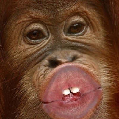 choi3xn's profile picture. 𝗠𝗖𝗠𝗫𝗖𝗜𝗩 — 𝐈, the sound of a dark storm with a sharp sexual engulfs the mind of the heart full of desire, 𝐂𝐡𝐨𝐢 𝐒𝐚𝐧. part of eros 🔞