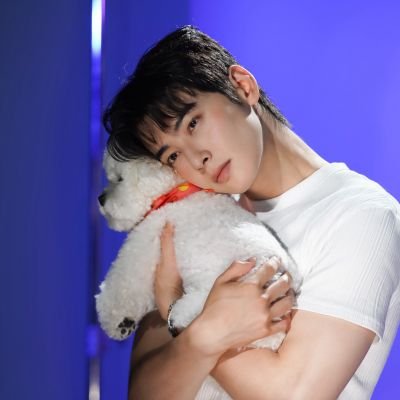 kittylove_07's profile picture. Jeremiah 29:11

ツ🧡