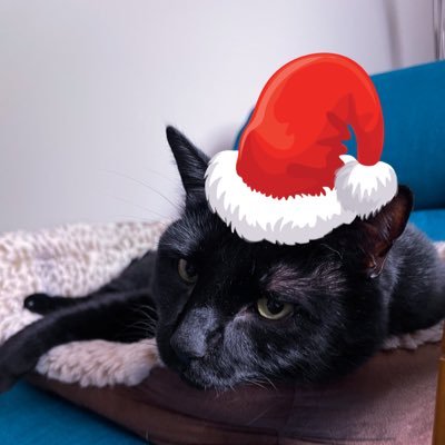 matej_106's profile picture. obligatory bio information, blah, blah, blah… I like cats & firearms.                                                        Eggnog supremacist.